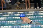 Women's Swimming & Diving  Wheaton College Women’s Swimming & Diving vs Mount Holyoke College. - Photo by Keith Nordstrom : Wheaton, Swimming & Diving